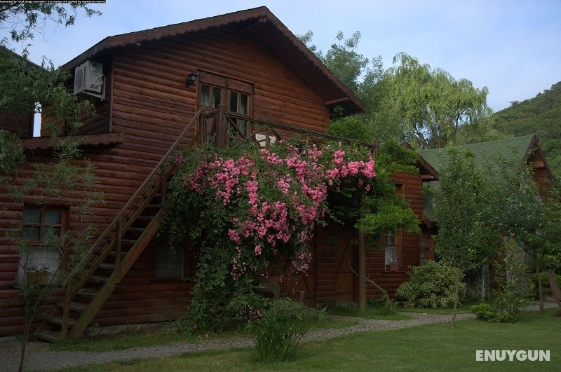 Luna Bungalow Room