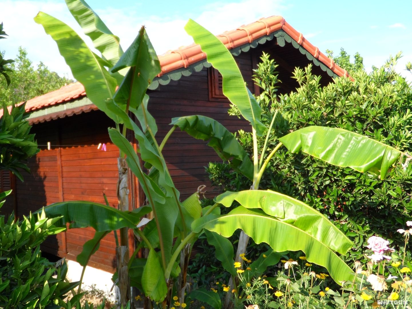 Bungalow, Garden View, Balcony