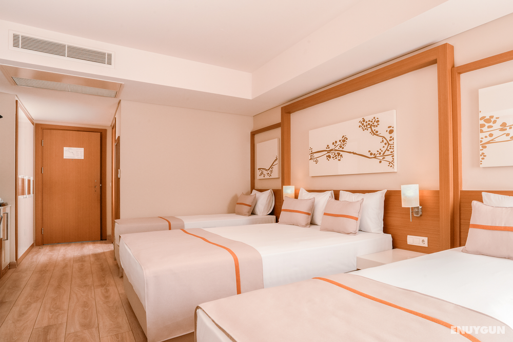 Large Room