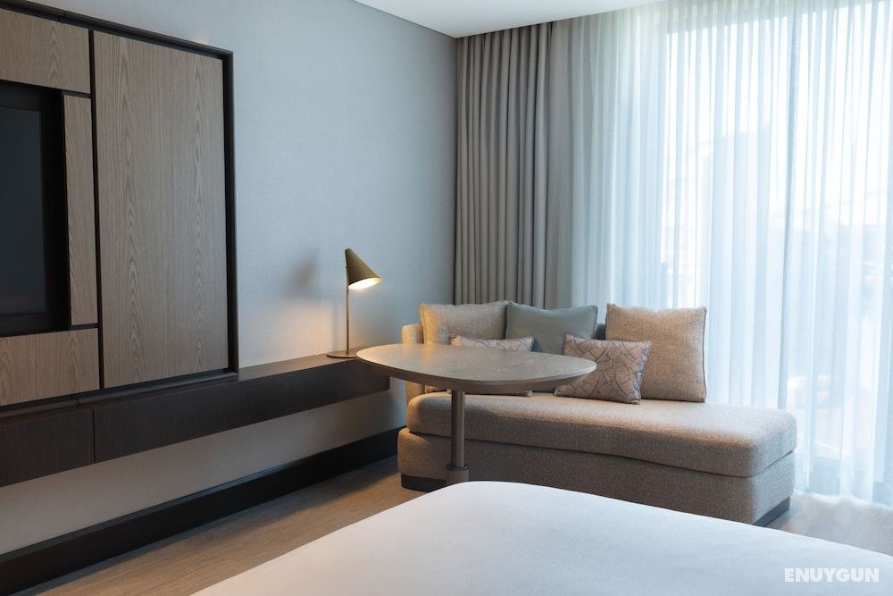 Privilege Room, 1 King Bed, Non Smoking, City View