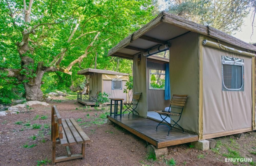 Tent, Stream View, Glass Ceiling