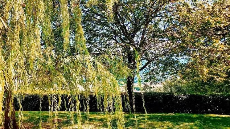 Villa, Birden Çok Yatak Odası, Veranda