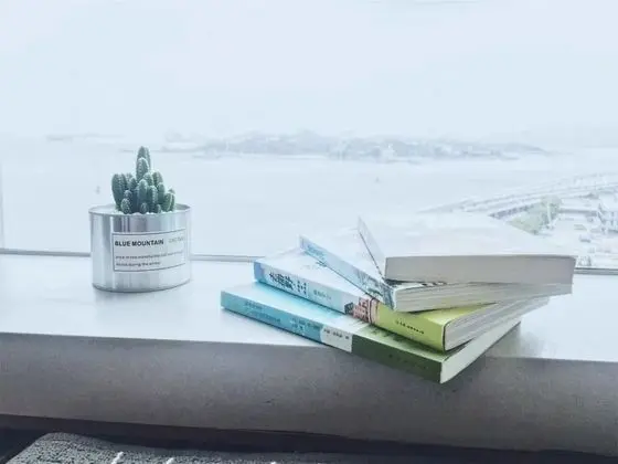 Superior Tek Büyük Yataklı Oda, Deniz Manzaralı