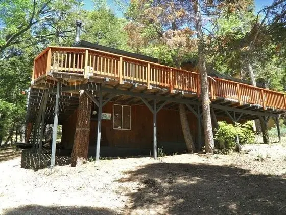 Kulübe, Birden Çok Yatak (063 - JBs Pinecone Lodge)