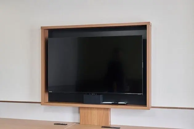 Televizyon