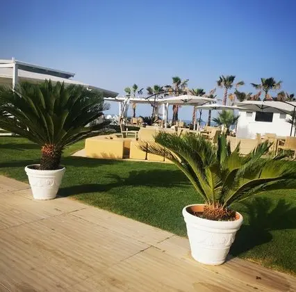 Apart Daire, Birden Çok Yatak