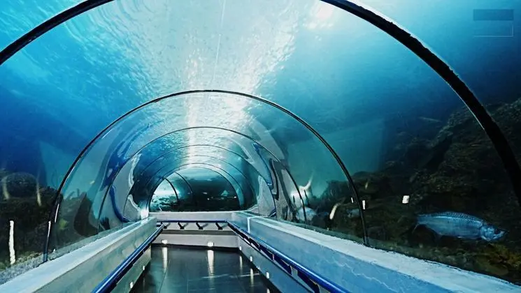 Apart Daire, 1 Yatak Odası, Engellilere Uygun, Balkon