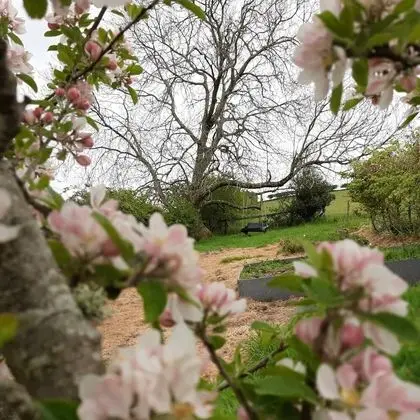 Kır Evi, Birden Çok Yatak