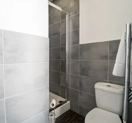 Classic Stüdyo Süit, 1 Çift Kişilik Yatak ve Çekyat, Küçük Mutfak (Room Apart 3)