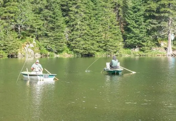 Ev, Birden Çok Yatak