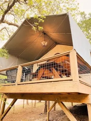 Standard Kulübe