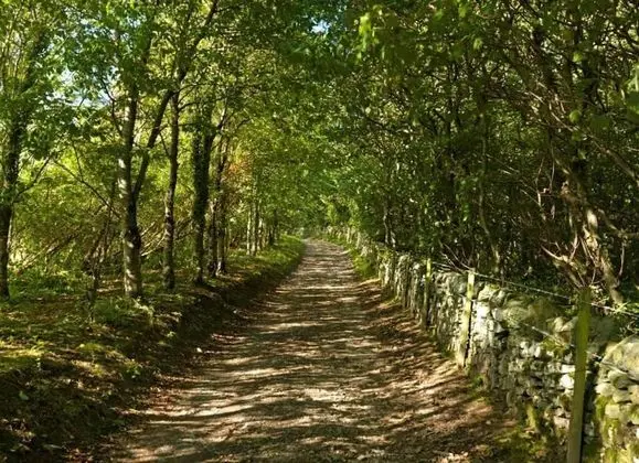 Kulübe, Birden Çok Yatak