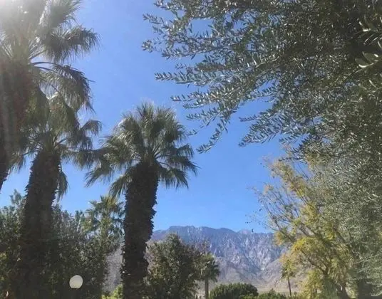 Ev
