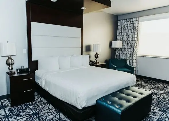 Premium Oda, 1 En Büyük (King) Boy Yatak
