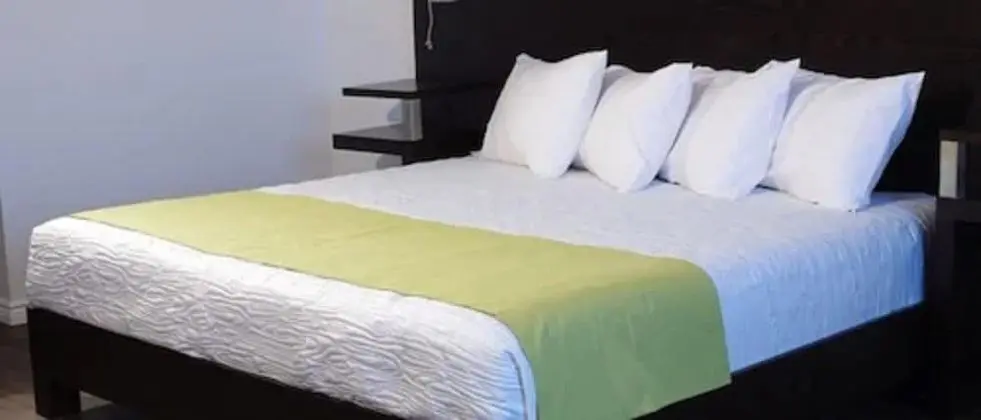 Süit, 1 En Büyük (King) Boy Yatak (Hotel)