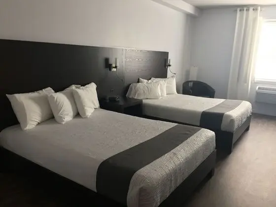 Superior Oda, 2 Büyük (Queen) Boy Yatak (Hotel)