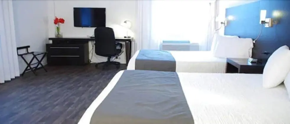 Superior Oda, 2 Büyük (Queen) Boy Yatak (Hotel)