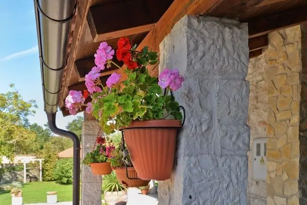 Standard Villa, Birden Çok Yatak Odası (0306)