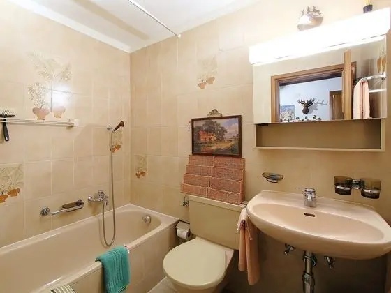 Ev