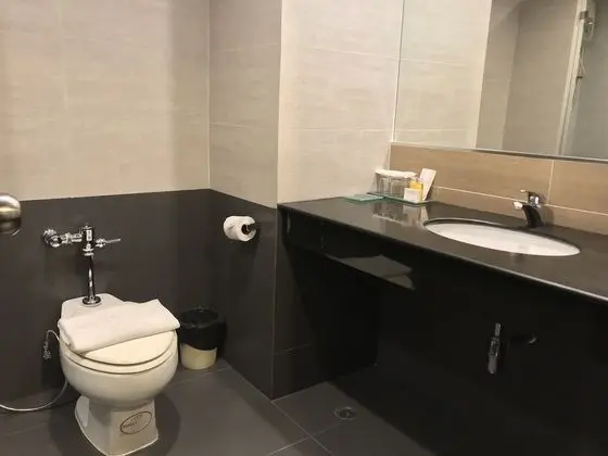 Premier Büyük Yataklı Tek Kişilik Oda, 2 Tek Kişilik Yatak