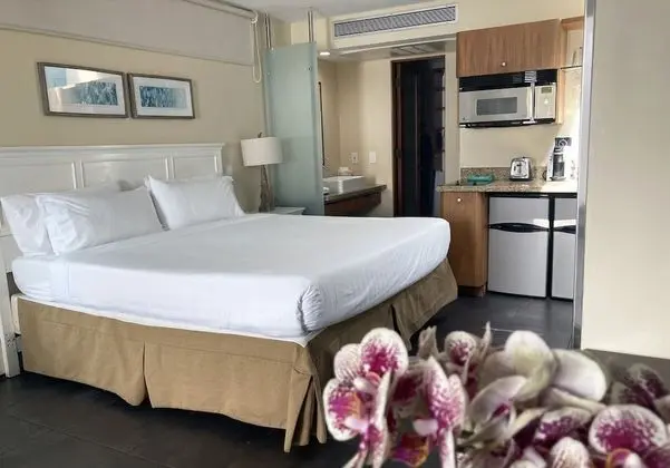 Deluxe Oda, 1 Büyük (Queen) Boy Yatak