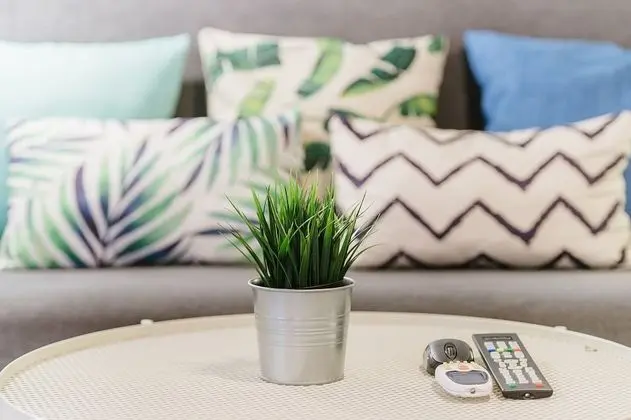 Studio with Kitchen and Balcony