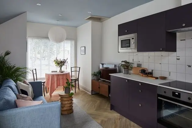 Deluxe Apart Daire, 1 Yatak Odası, Sigara İçilmez, Buzdolabı ve Mikrodalga