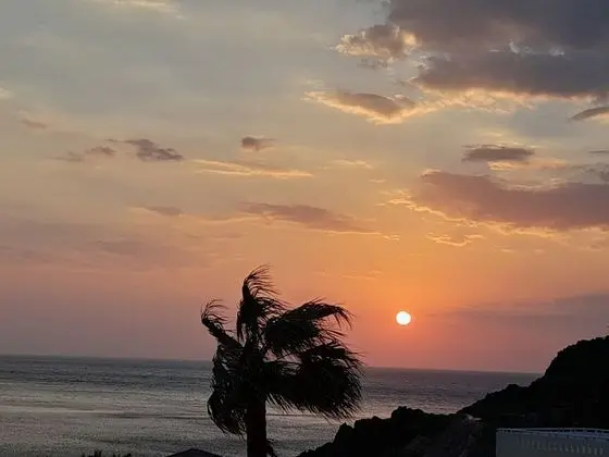 Apart Daire, 1 Yatak Odası, Mikrodalga