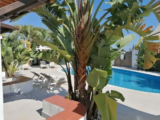 Villa, 5 Yatak Odası, Engellilere Uygun, Şömine