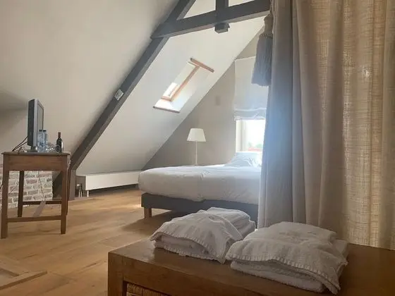 Çatı Katı (Loft)