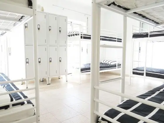 Bed in 8-Bed Mixed Dormitory Room