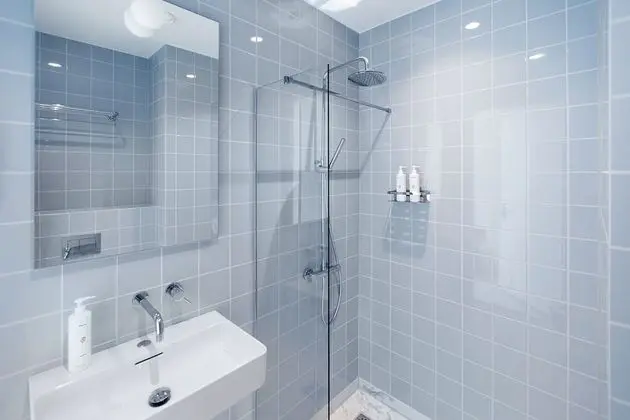 Tek Büyük Yataklı Oda (171. Classic Room)