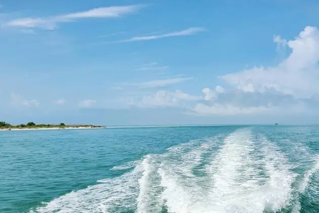Ev (1732 Beach Parkway W)