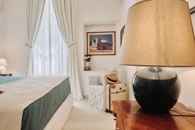 Superior Tek Büyük Yataklı Oda, 1 En Büyük (King) Boy Yatak