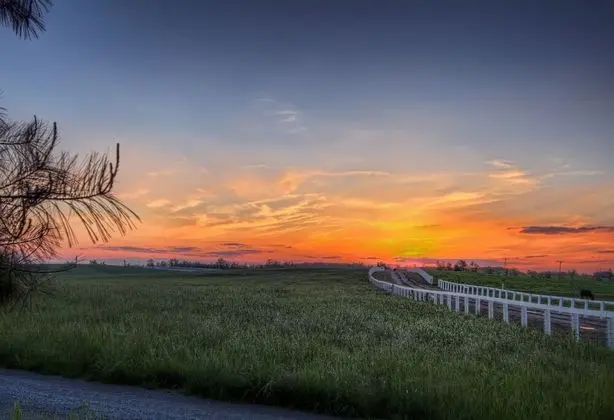 Room, Jefferson Davis