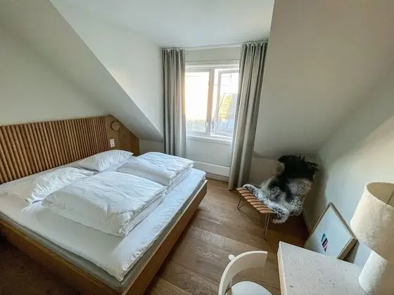 Standard Tek Kişilik Oda, 1 Tek Kişilik Yatak