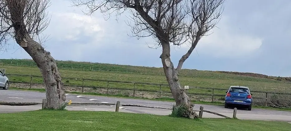 Ev, Engellilere Uygun