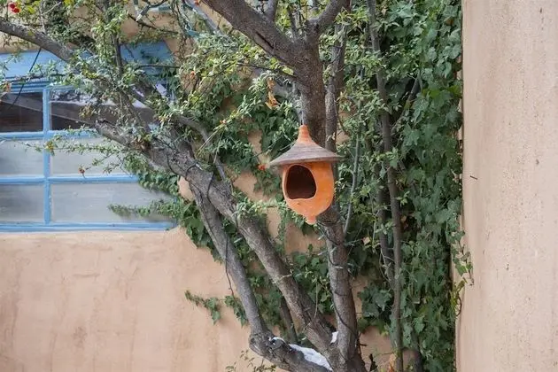 Ev (1bd Zatara Sanctuary)