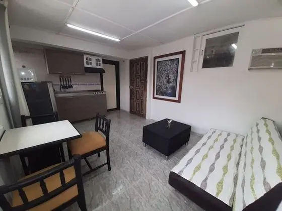 Apart Daire, 1 Yatak Odası, Sigara İçilebilir, Buzdolabı