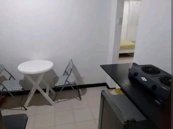Apart Daire, 1 Yatak Odası, Sigara İçilebilir, Buzdolabı