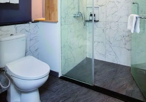 Deluxe Tek Büyük veya İki Ayrı Yataklı Oda, 1 Yatak Odası, Şehir Manzaralı
