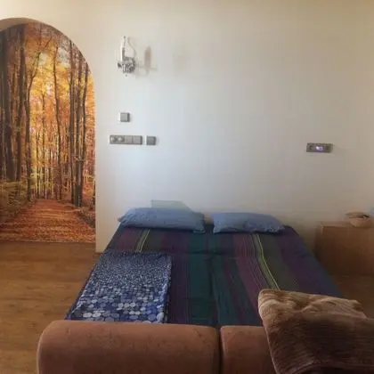 Classic Apart Daire, Karma Ranzalı Oda, Balkon, Şehir Manzaralı