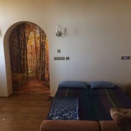 Classic Apart Daire, Karma Ranzalı Oda, Balkon, Şehir Manzaralı