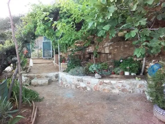 Ev, 1 Yatak Odası, Veranda