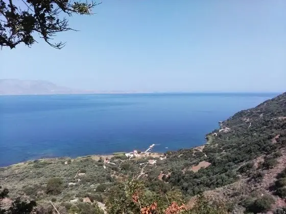 Ev, 1 Yatak Odası, Veranda
