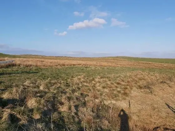 Apart Daire, Birden Çok Yatak
