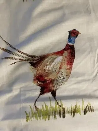 Kır Evi, Özel Banyo, Avlu Manzaralı