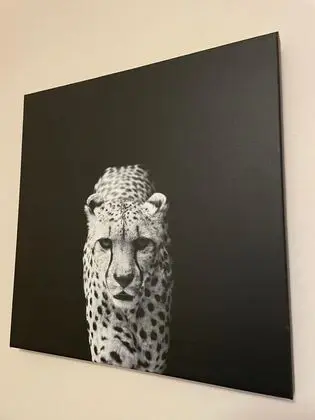 Kır Evi, Özel Banyo, Avlu Manzaralı