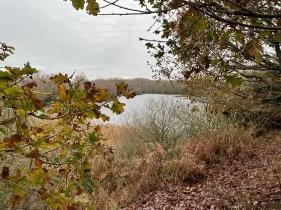 Kır Evi, Özel Banyo, Avlu Manzaralı