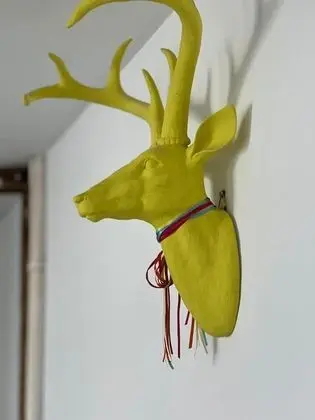 Ev, Birden Çok Yatak